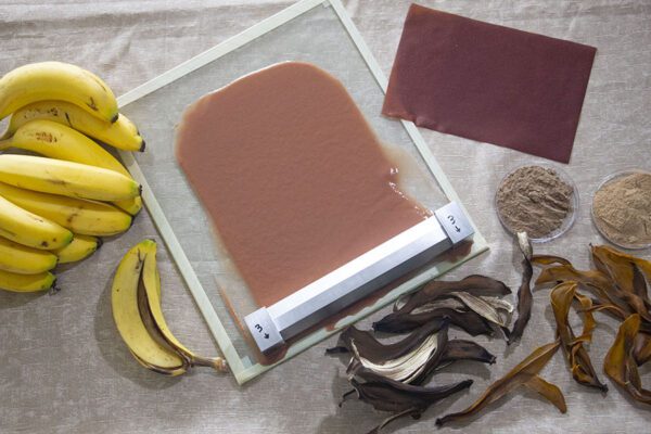 Casca de banana se transforma em bioplástico